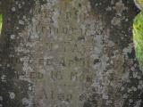 image of grave number 834680